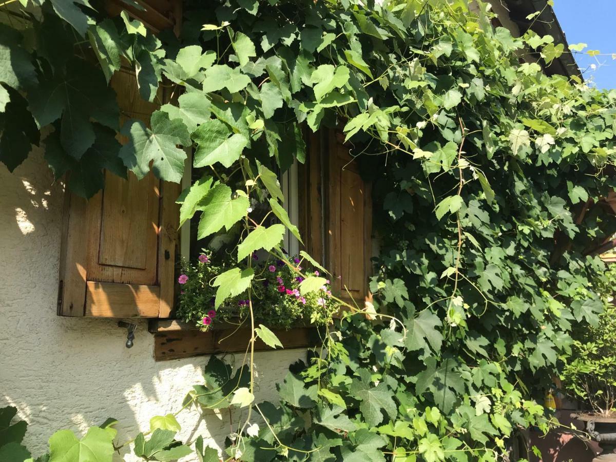 Tante Berg B&B バート・フィルベル エクステリア 写真